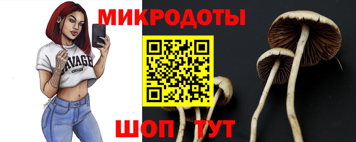 Кашира  Галлюциногенные грибы мицелий  Вход с VPN  Галлюциногенные грибы Cubensis 