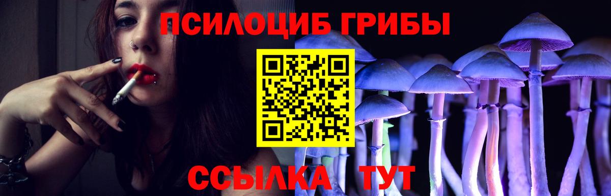 Псилоцибиновые грибы MAGIC MUSHROOMS Кашира