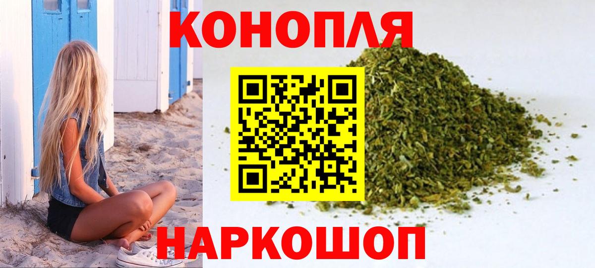 Каннабис конопля Кашира